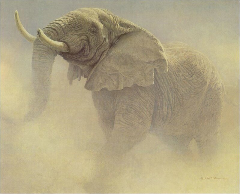 Elephant in Dust Storm — Beige