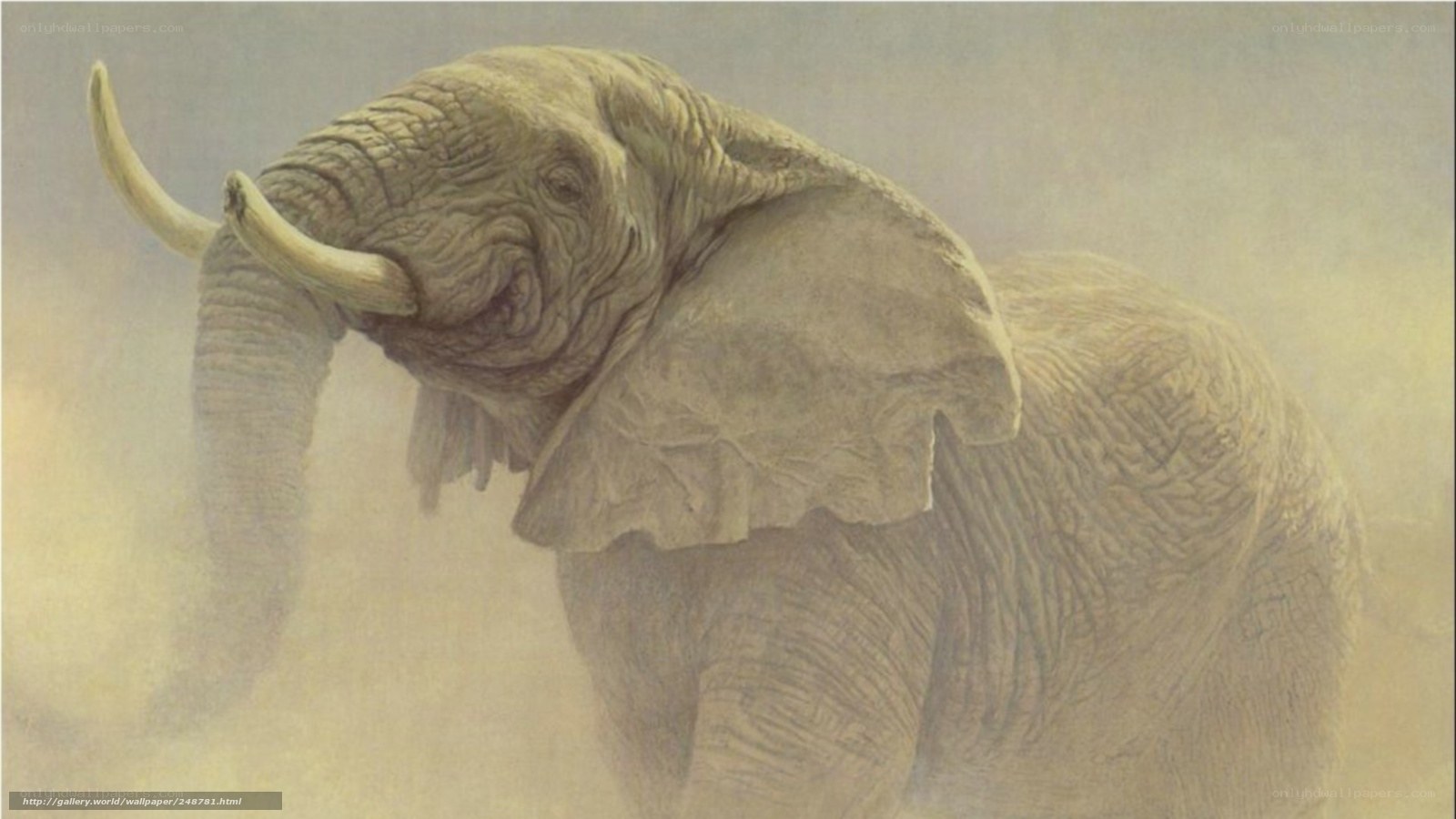 Elephant in Dust Storm
