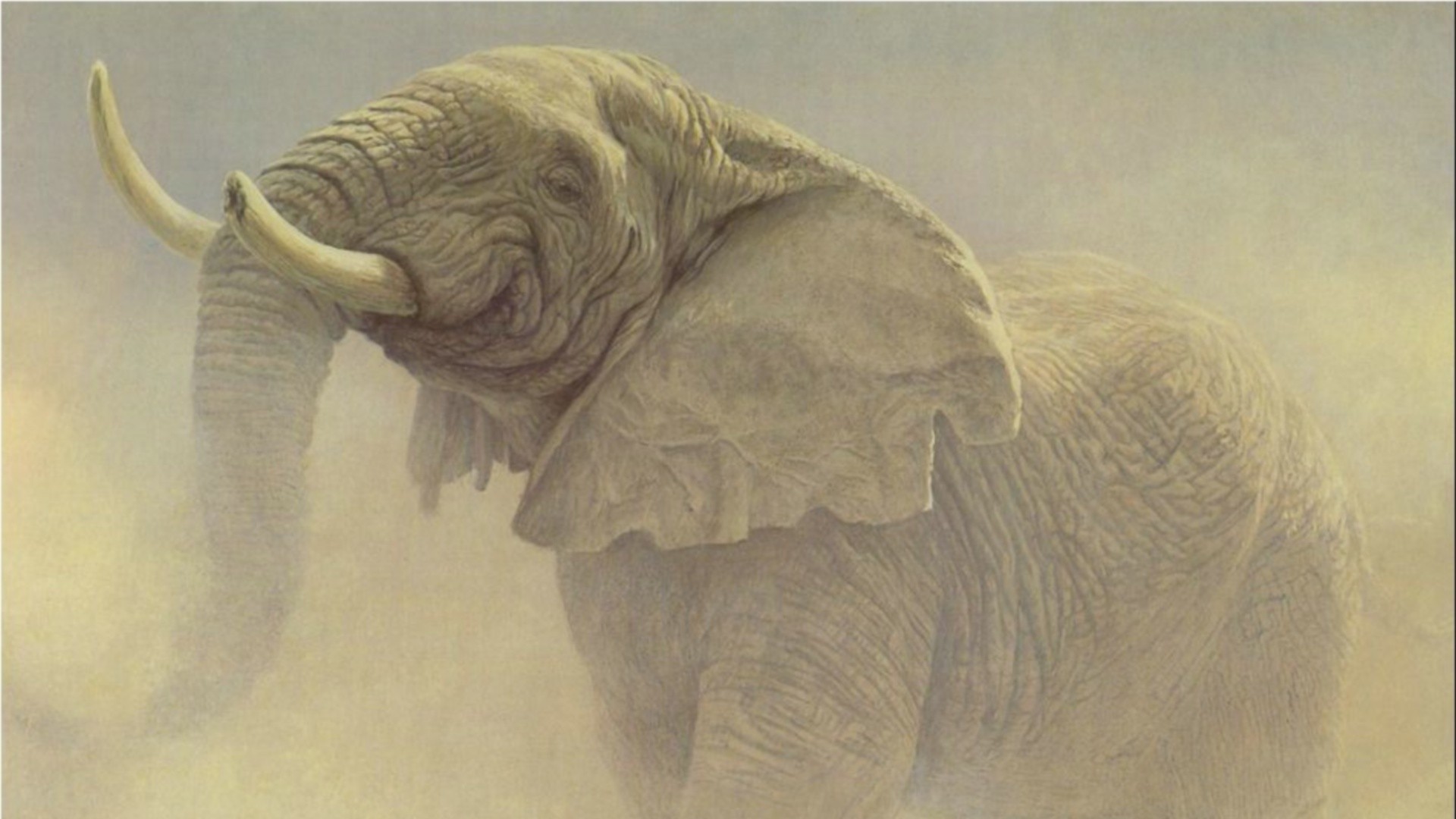 elephant in dusty environment