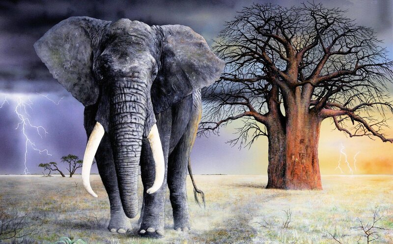 Elephant in Savanna — Gray