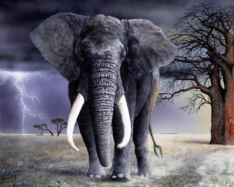 Elephant in Storm — Gray, Dramatic