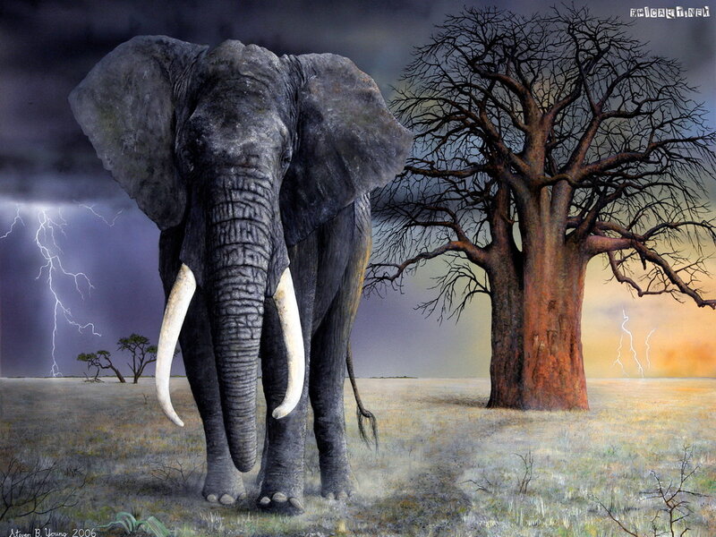 Elephant in Storm — Gray