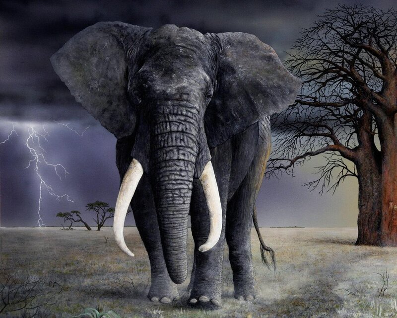 Elephant in Storm