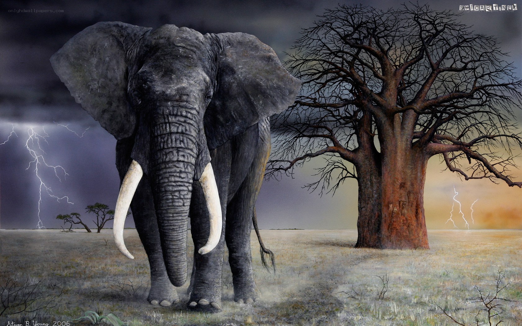 Elephant in stormy savanna