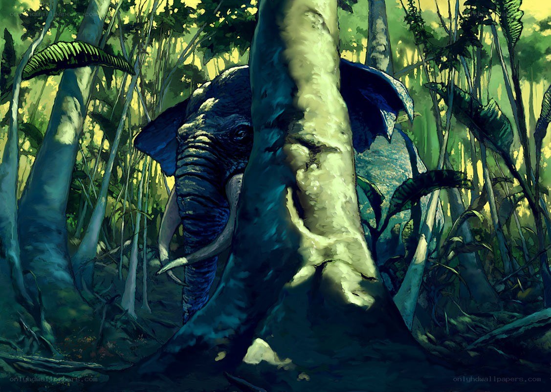 Elephant in the jungle