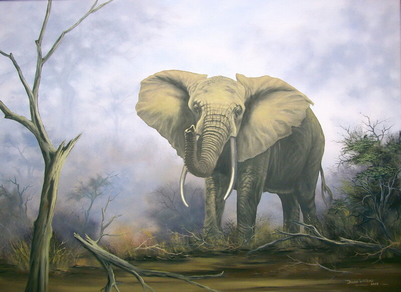 Elephant in the Mist