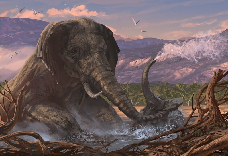 Elephant in the river