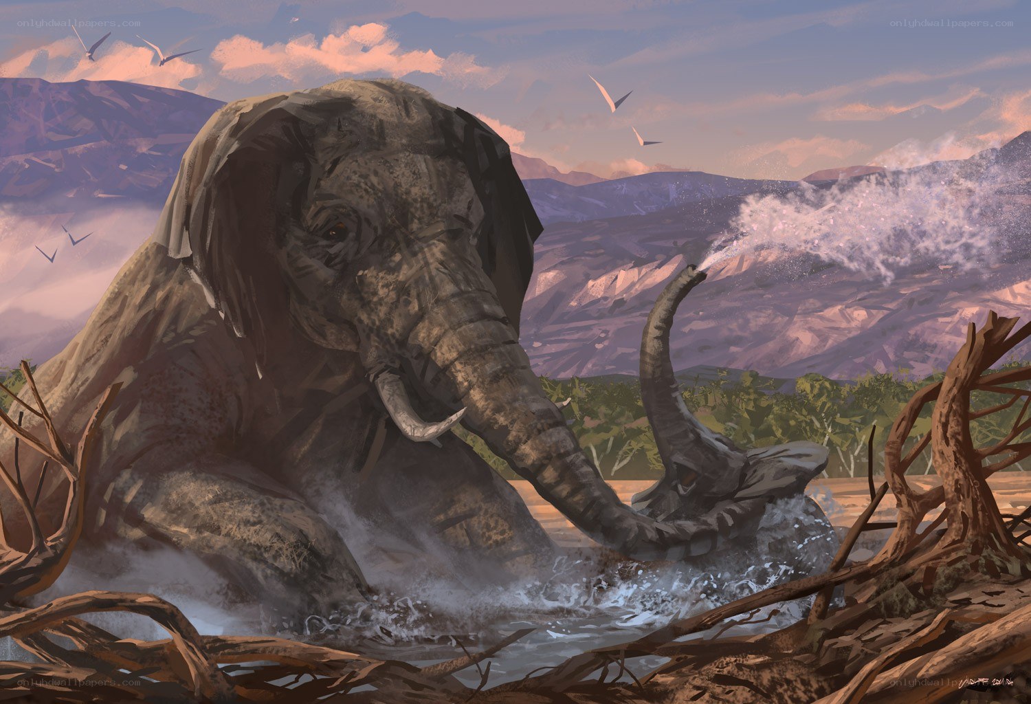 Elephant in the river