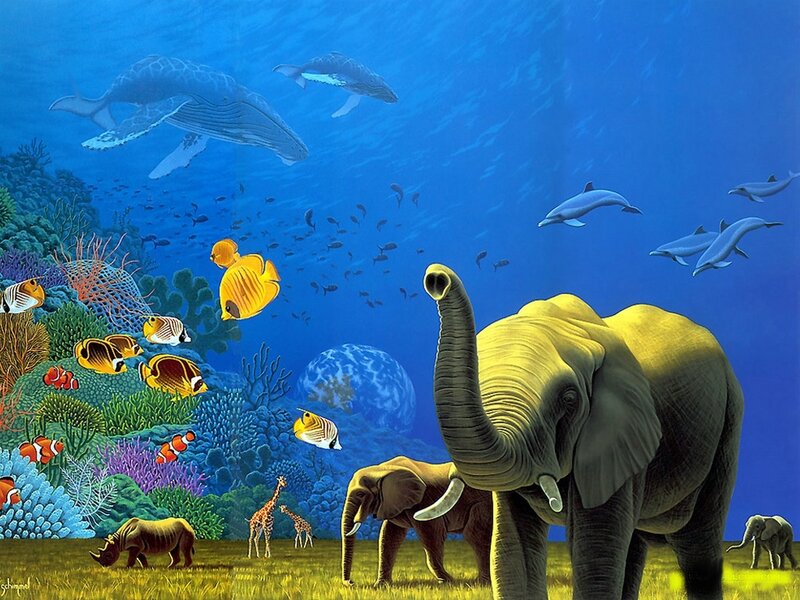 Elephant in underwater world
