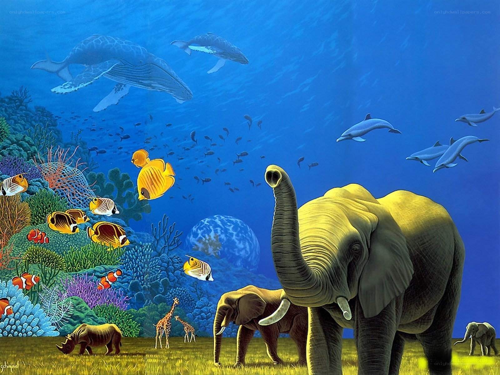 Elephant in underwater world