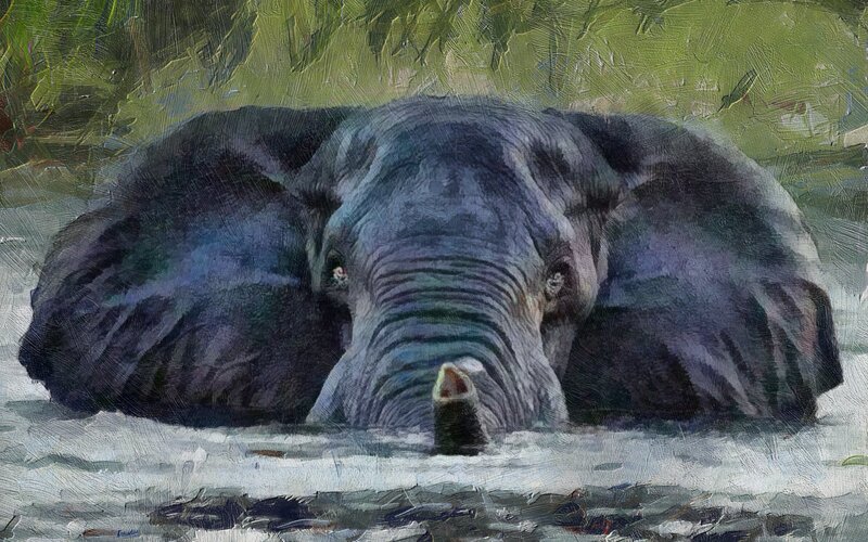Elephant in Water — Gray, Calm, Painting