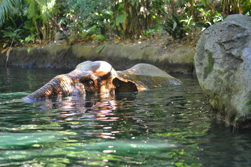 Elephant in Water — Green, Serene