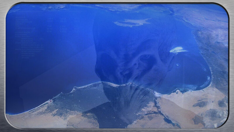 Elephant in Water