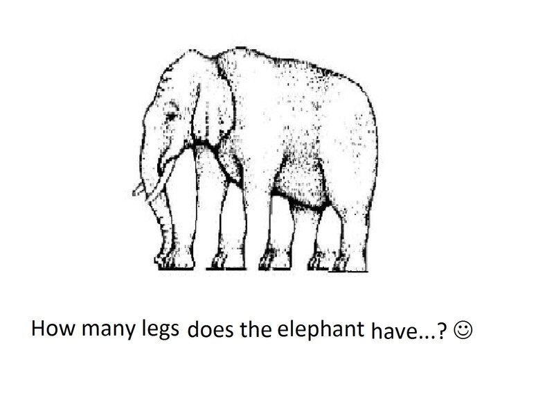 elephant legs counting