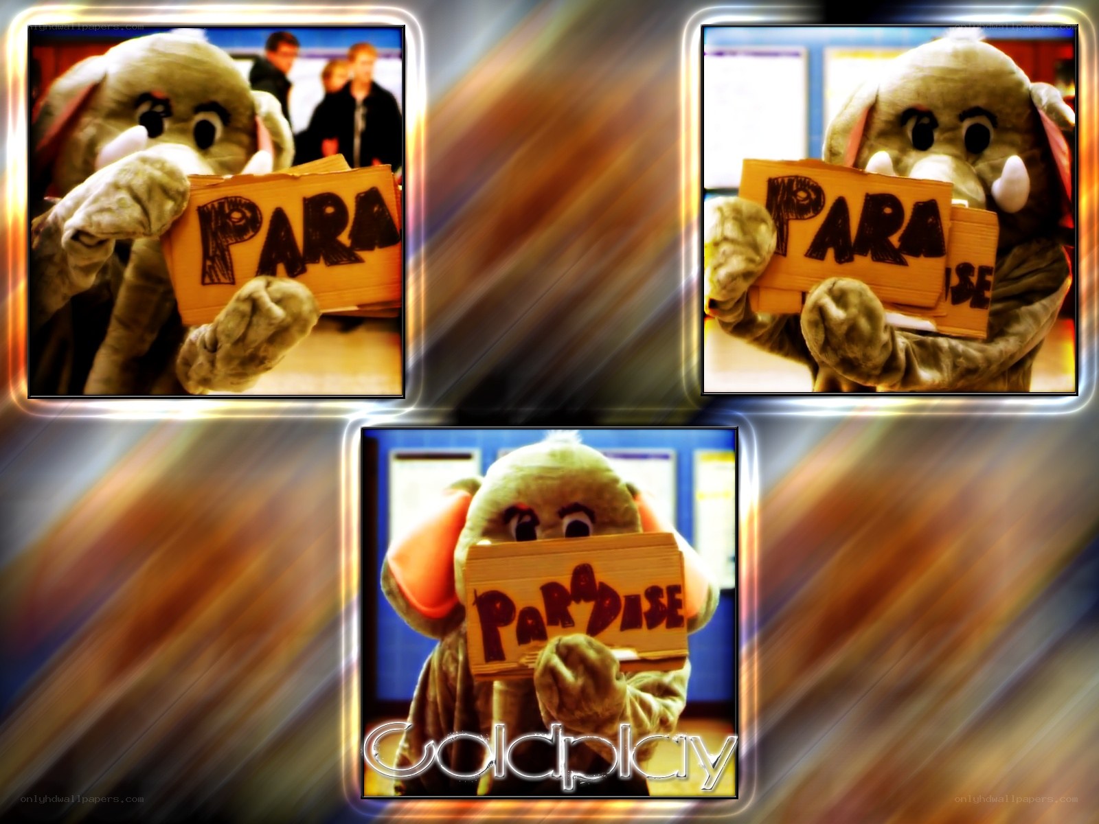 elephant mascot holding sign