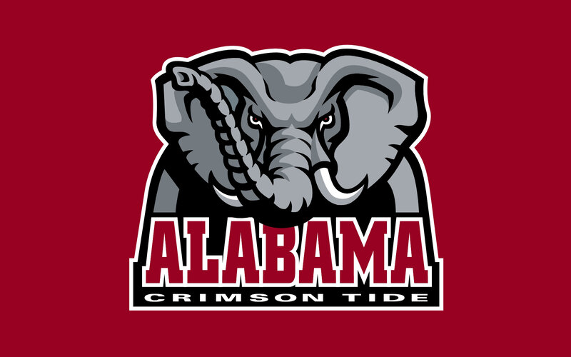 Elephant Mascot
