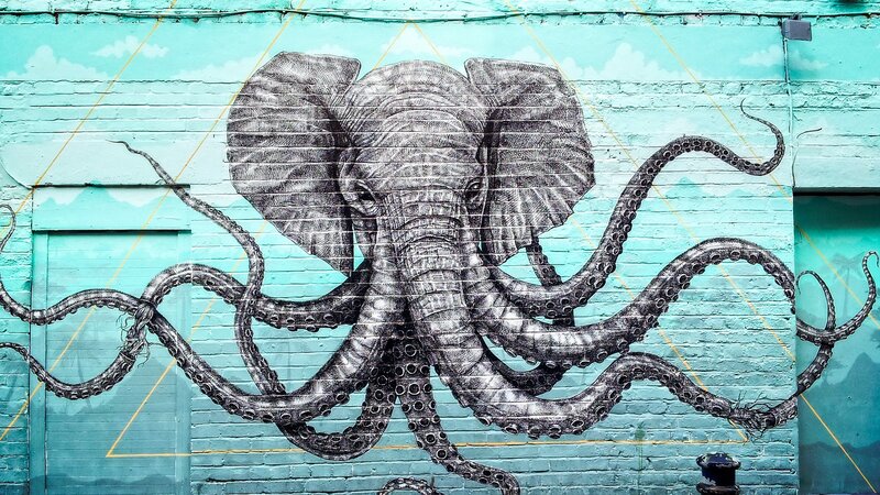 Elephant Octopus Hybrid — Teal, Dramatic