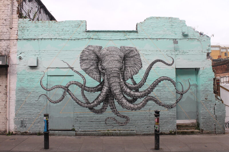 Elephant Octopus Hybrid — Teal