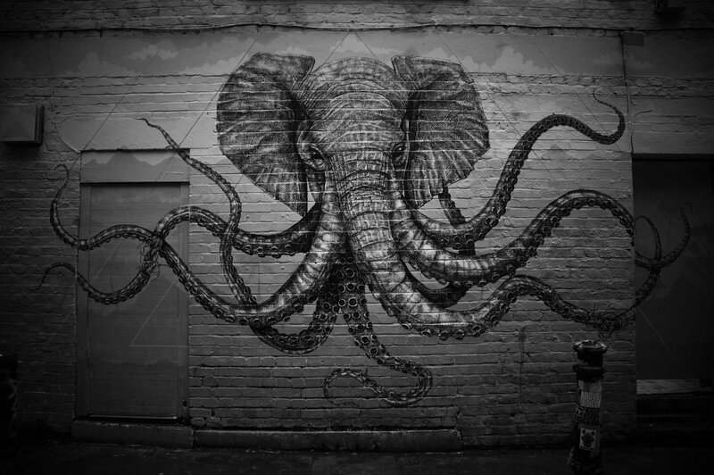 Elephant Octopus Hybrid