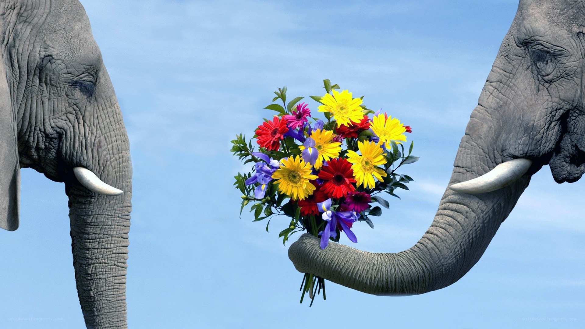 Elephant offering flowers