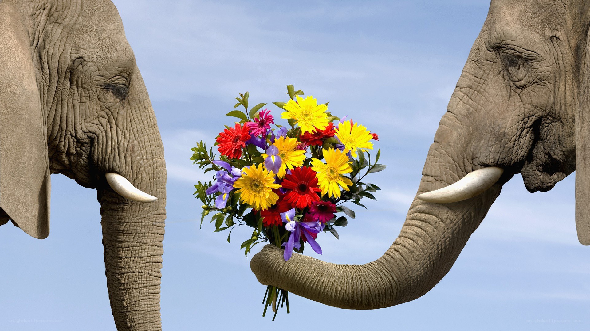 Elephant offering flowers
