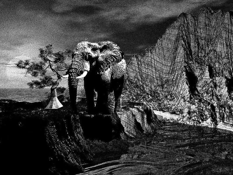 Elephant on a Cliff