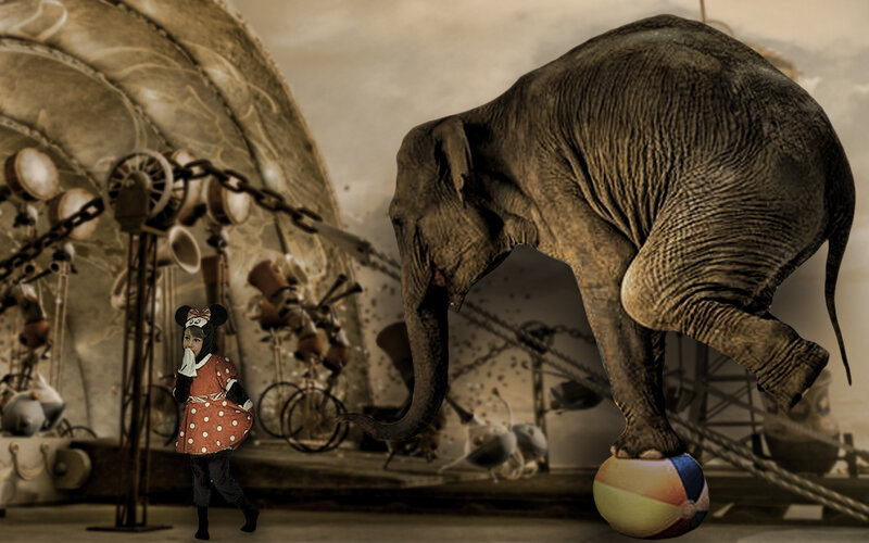 Elephant on Beach Ball