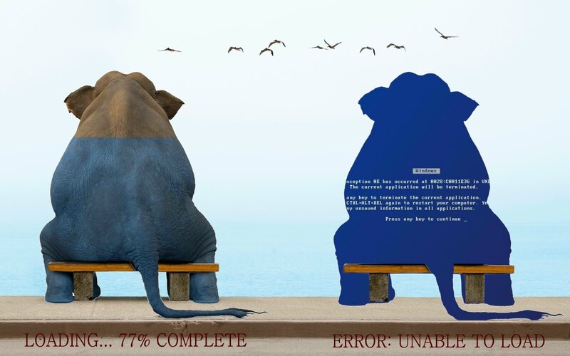 Elephant on Bench — Blue, Serene