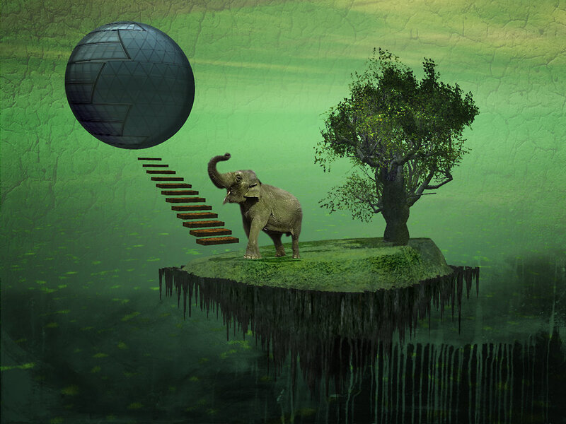 Elephant on Floating Island