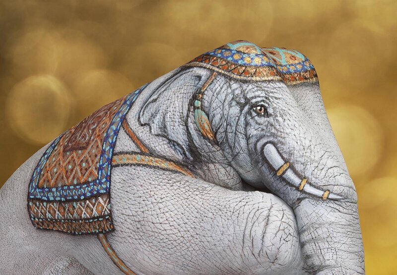 Elephant Painted on Hand