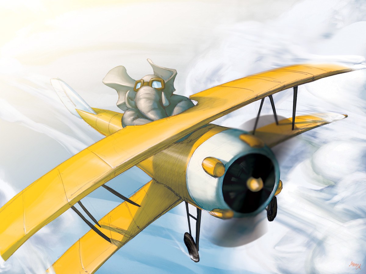 elephant pilot in yellow biplane