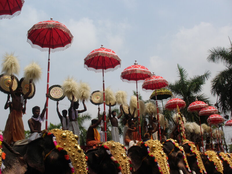 Elephant Procession