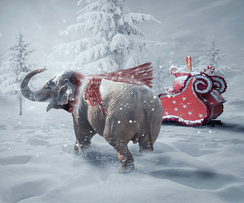 Elephant Pulling Sleigh