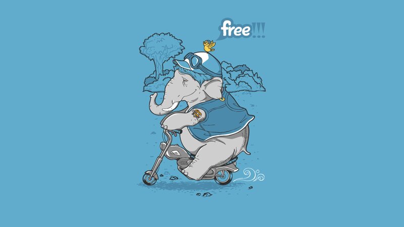 elephant riding scooter