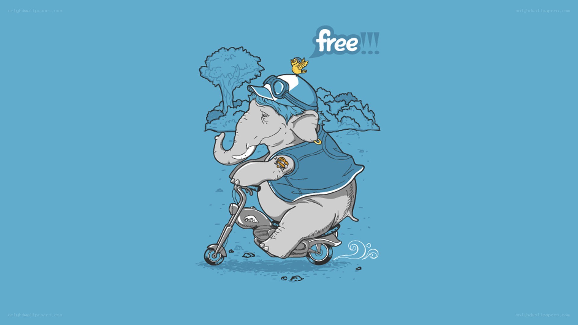 elephant riding scooter
