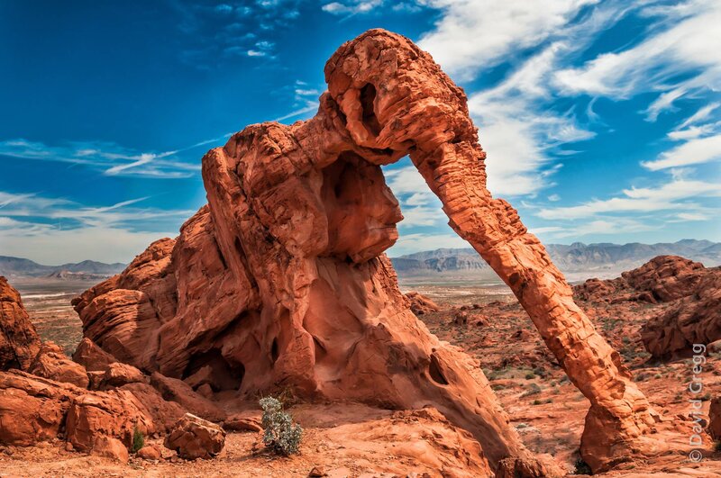 Elephant Rock Formation — Red