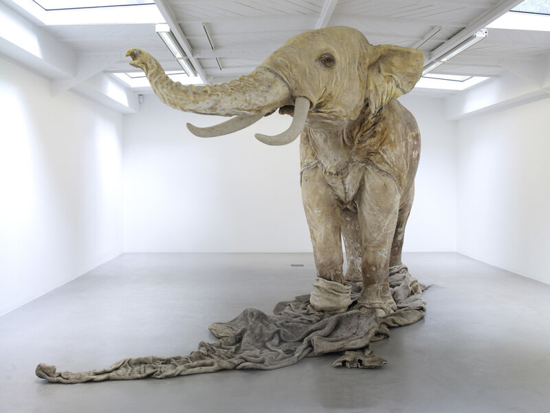 Elephant sculpture in gallery