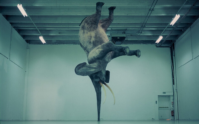 Elephant sculpture in gallery