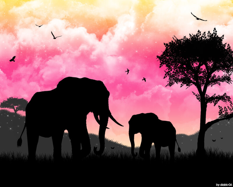 Elephant Silhouettes