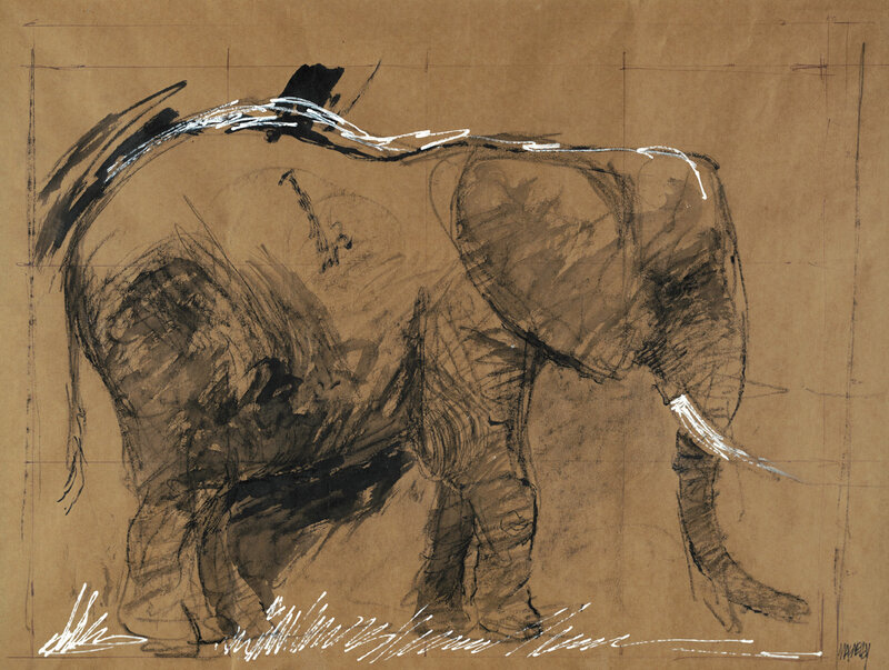 Elephant Sketch