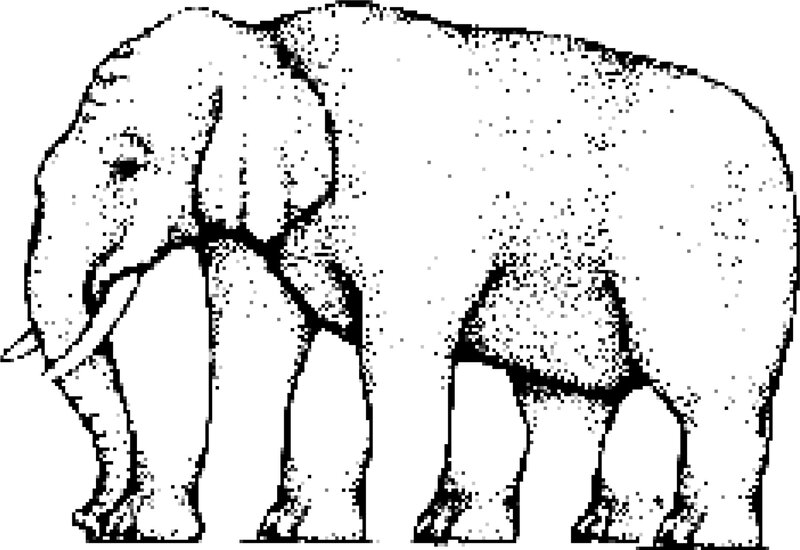 Elephant Standing — Black