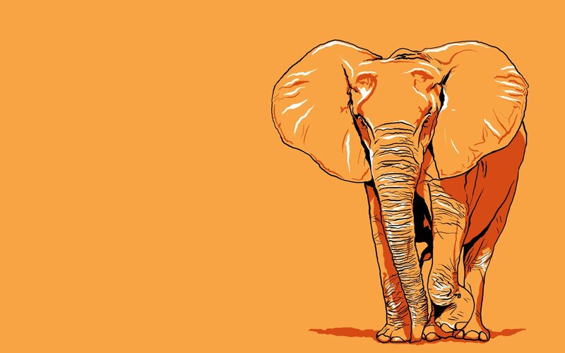 Elephant Standing — Orange, Calm