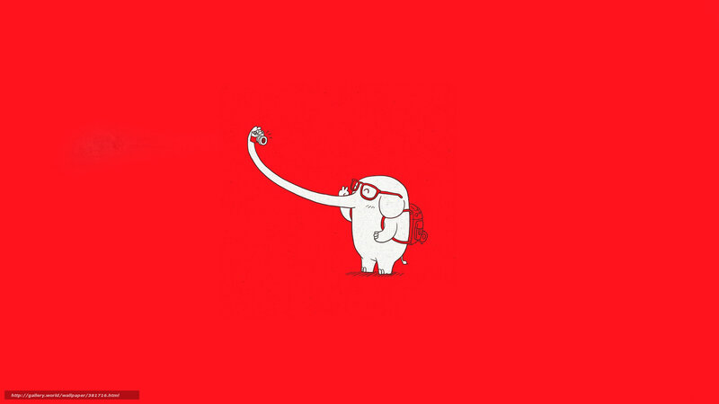 elephant taking a selfie