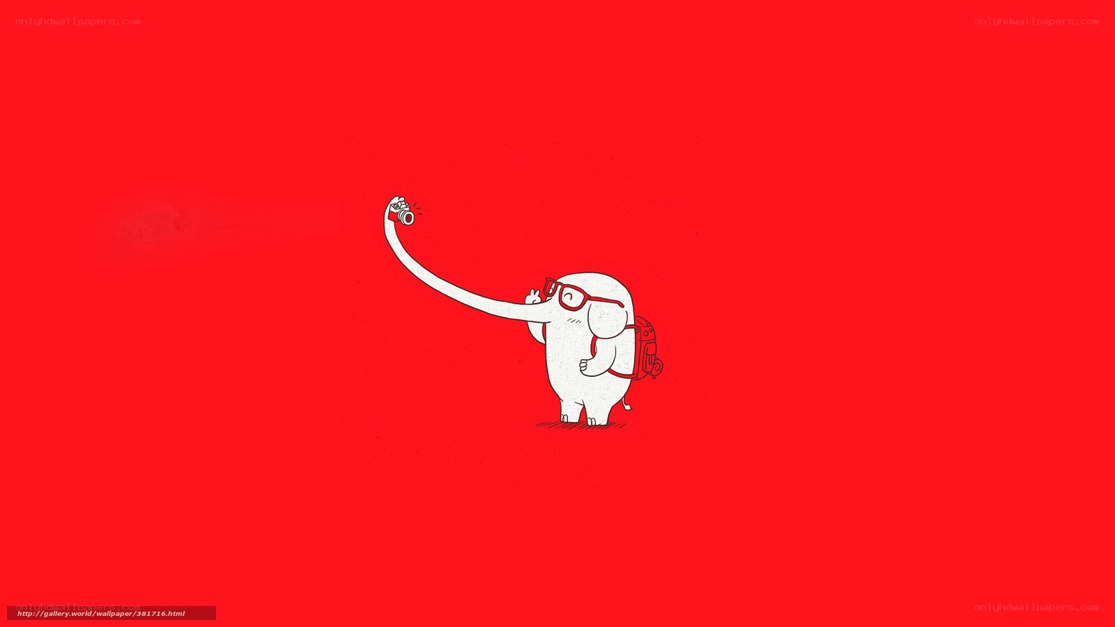 elephant taking a selfie