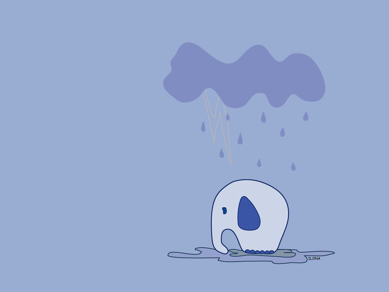 elephant under rain cloud