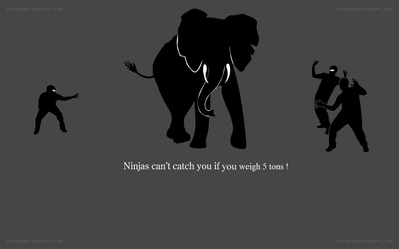 Elephant vs ninjas