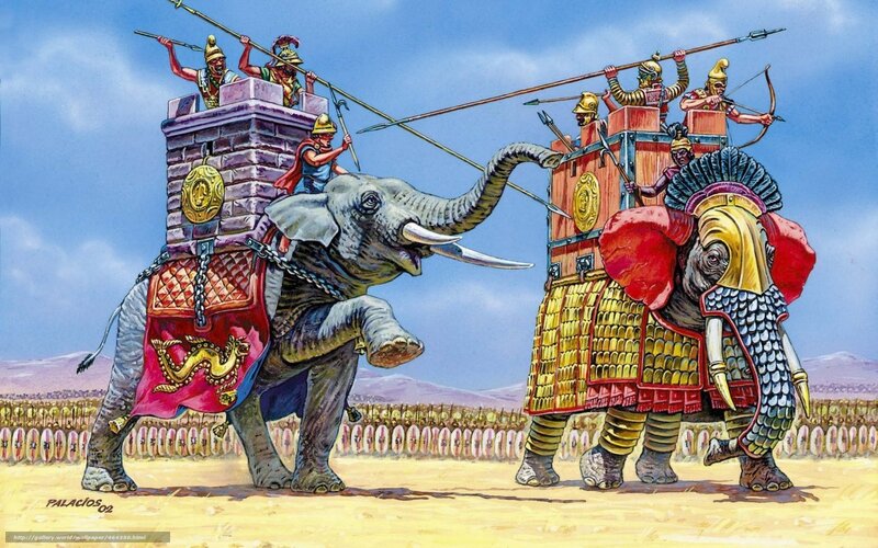 Elephant warfare battle