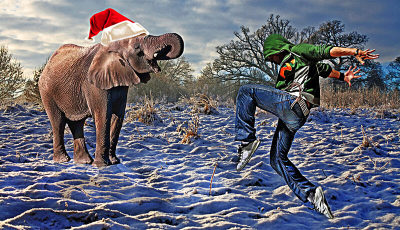 Elephant Wearing Santa Hat