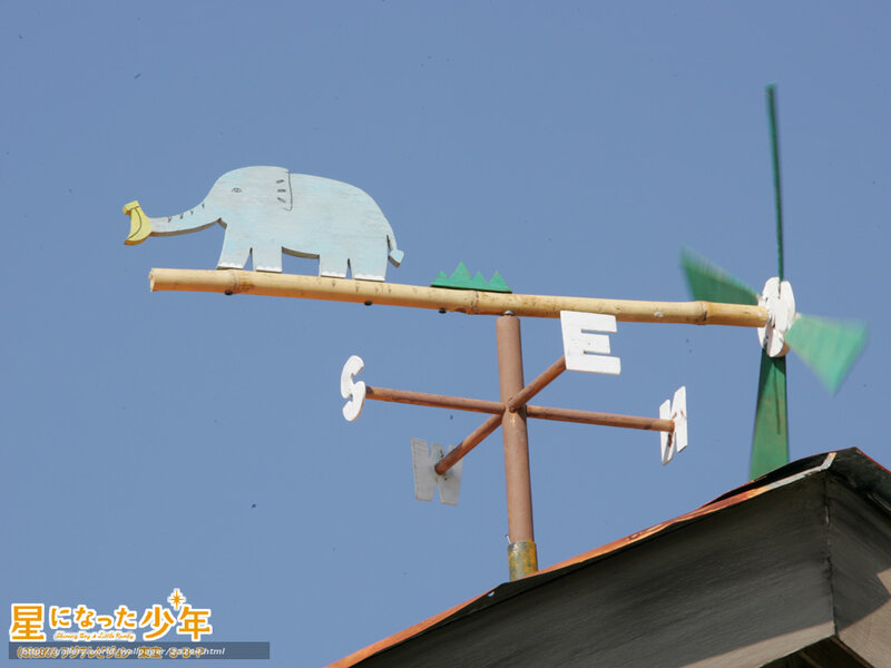 Elephant weather vane