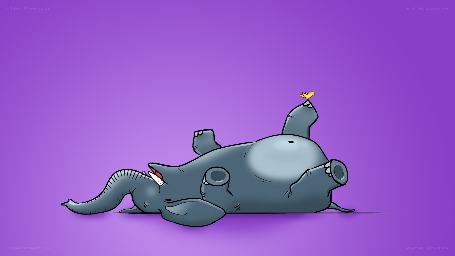 elephant with bird on belly